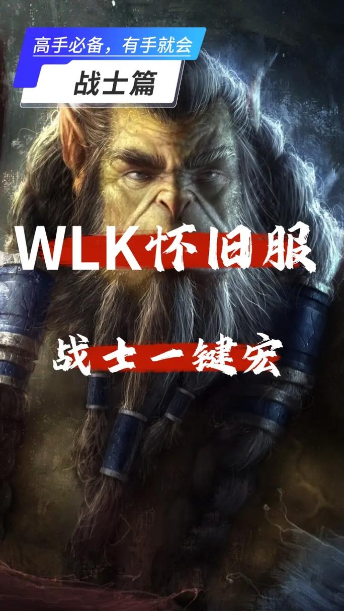 60魔兽战士一键仇恨宏