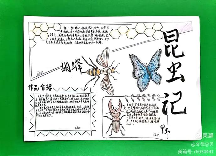 走进名著手抄报图片大全