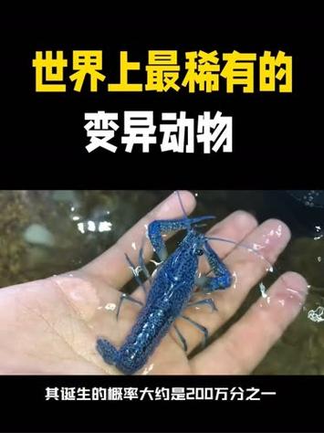 变异动物