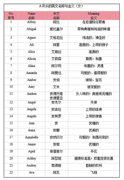男孩英文名字lan的寓意图标