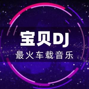 宝贝Dj网