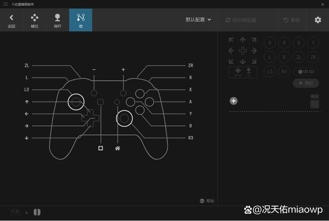 ns能不能用其他手柄