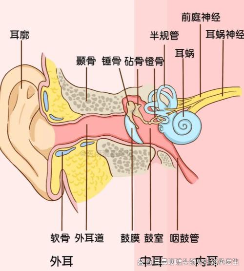 在宾馆怎么能听清隔壁的声音