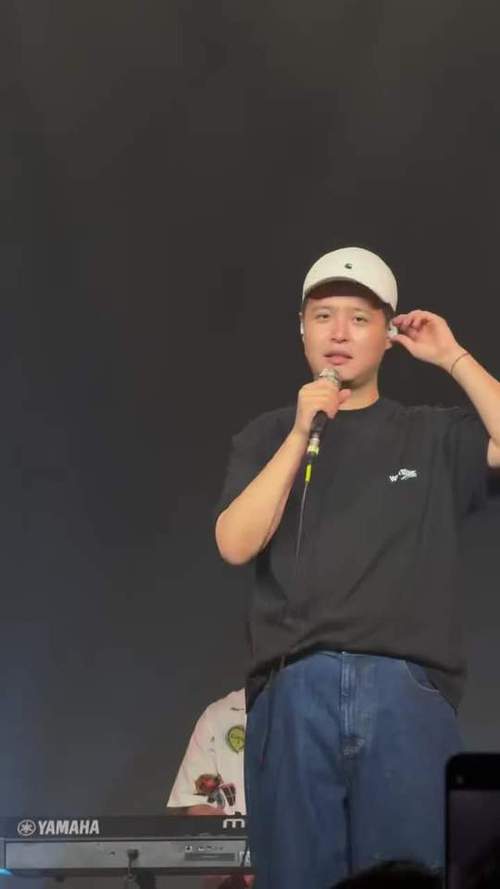 马頔演唱会
