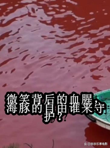 海豚湾分析截图