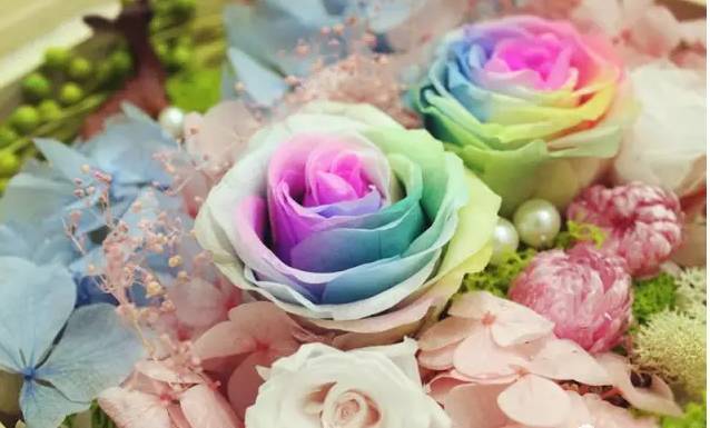 永生花的花语祝福简短图标