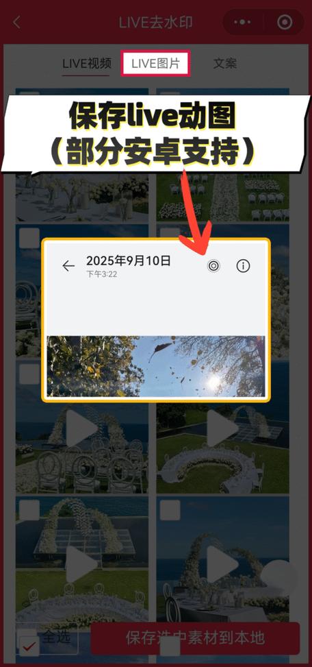 小红书怎么保存原图无水印缩略图
