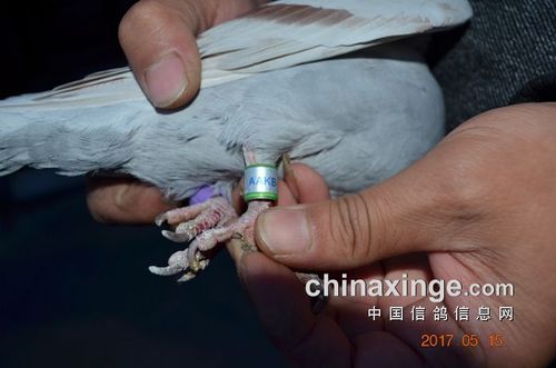 金店愿意免费验金吗