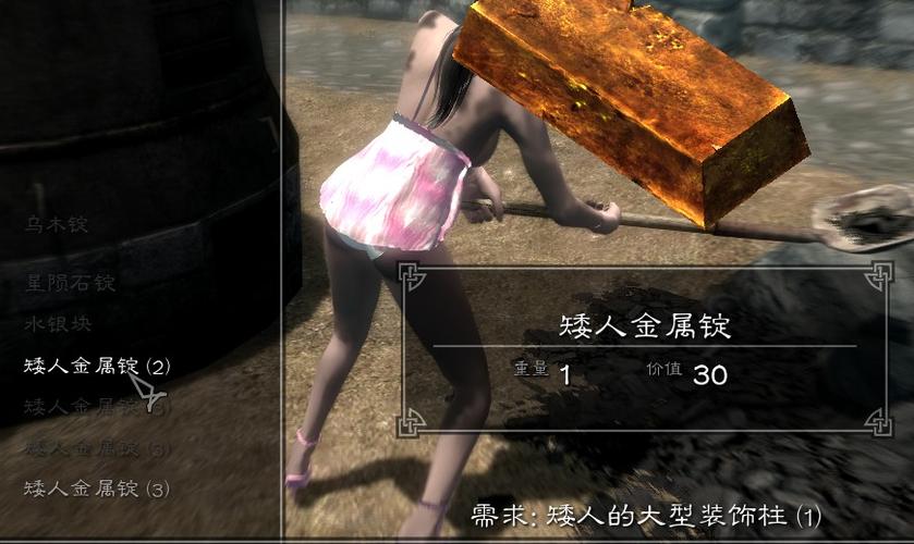 上古卷轴5 金锭