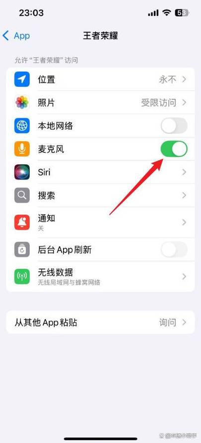 苹果手机王者怎么开麦克风权限