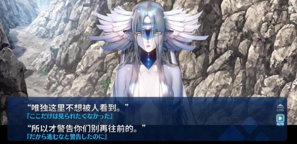 fgo观看