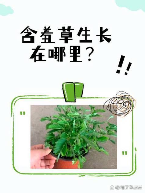 20种常见植物生长环境