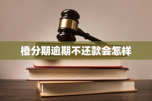 橙分期逾期不还款会怎样截图
