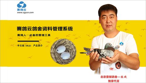 赛鸽云鸽舍管理系统效果怎么样