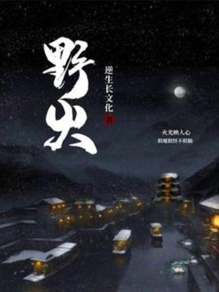 野火txt百度网盘