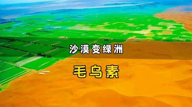 沙漠治理视频纪录片缩略图