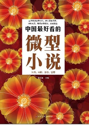 中国最好看的微型小说