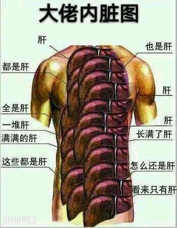 肝 表情包