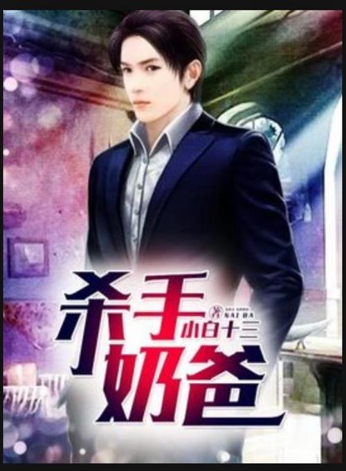 杀手奶爸 小说