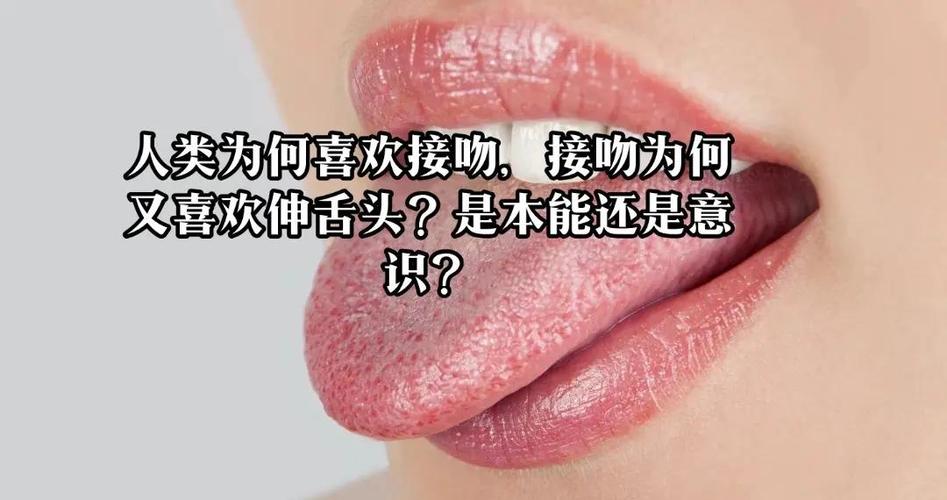 亲嘴为啥申舌头