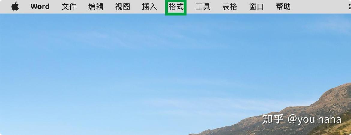 苹果系统word