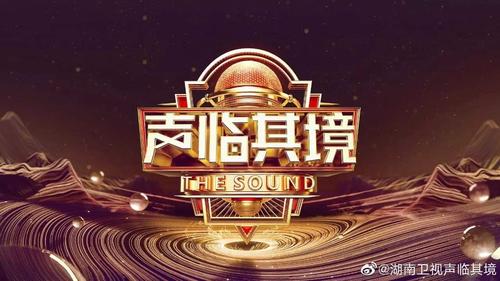 平板录屏自己的声音很小游戏截图