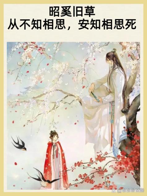 花落不知烬相思