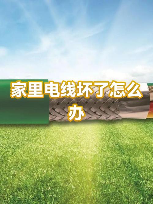 家里电烧了怎么办