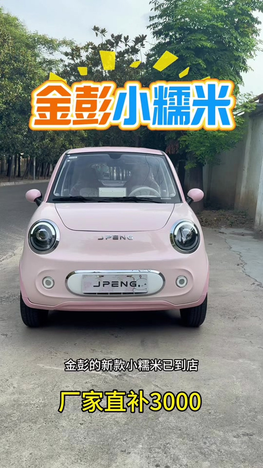 金彭小糯米四轮电动车多少钱一辆