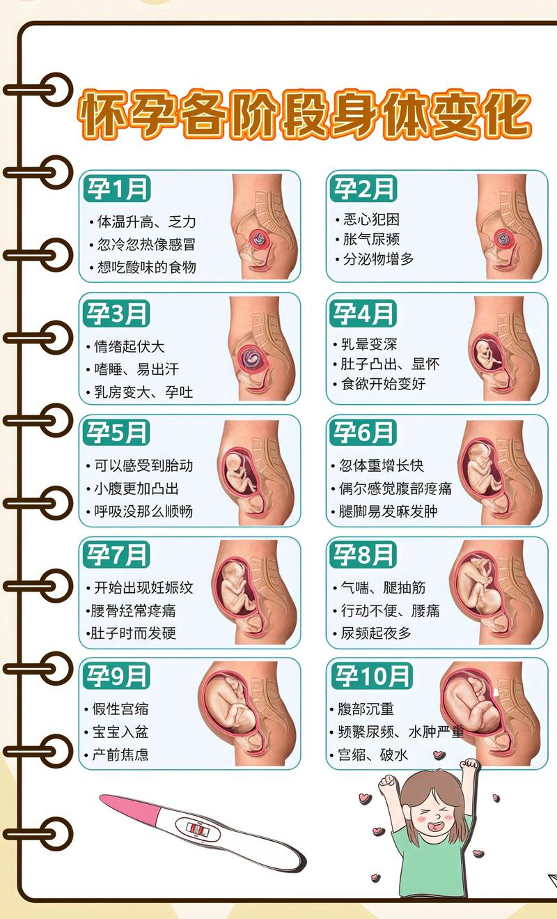 永恒世界怀孕和不怀孕的区别
