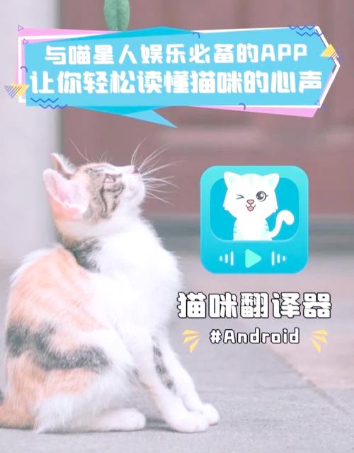 猫咪语音翻译器免费