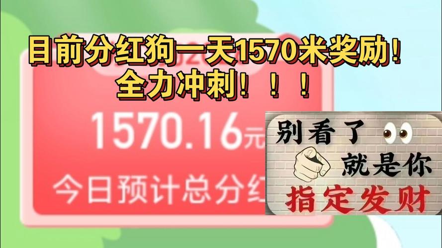 爪游宝分红狗是真的吗