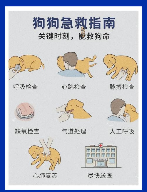 kenshi怎么使用急救包
