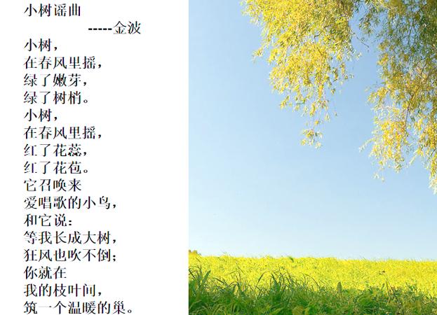 小树谣
