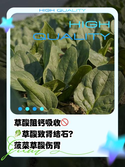 绿叶醇对人体有害吗图标