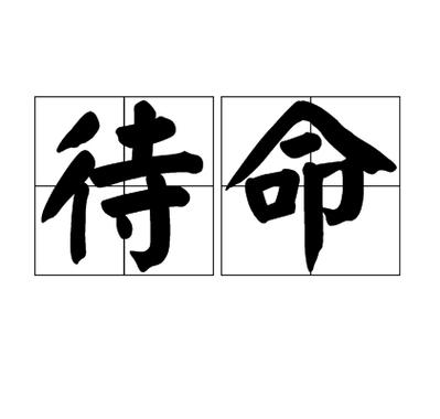 打印机没纸 在放纸就打印不了了