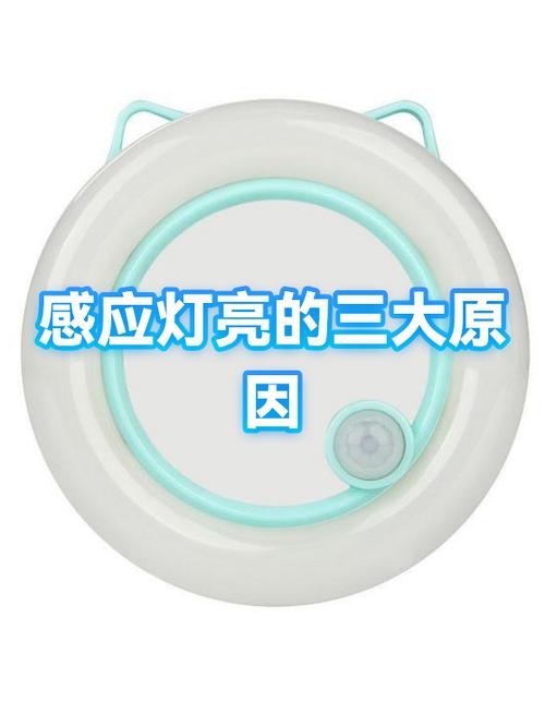 晚上没人感应灯反复亮图标