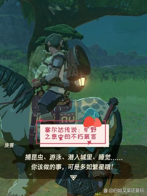塞尔达睡觉血上限永久游戏截图