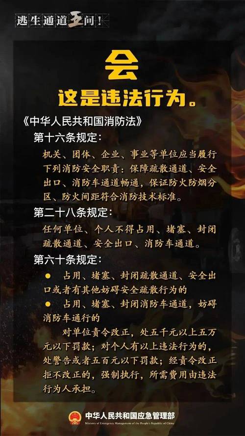 z63为何被国家禁止
