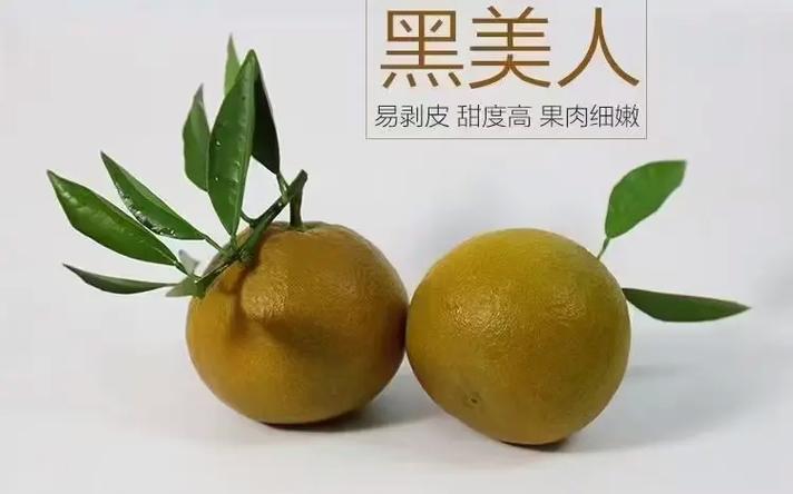 橙色和褐色混在一起是什么颜色