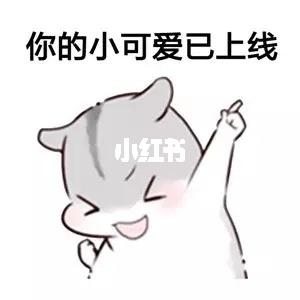 今日份小可爱已上线