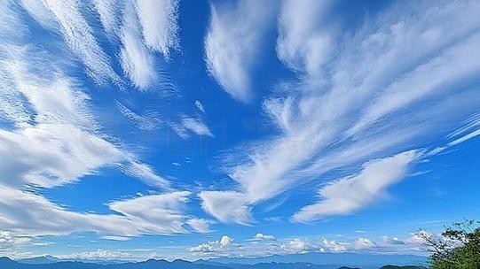 天空视频最新版下载图标