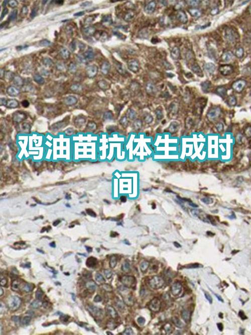 怎么设置电脑开机不自动启动软件游戏截图