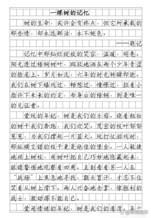 优秀作文缩略图