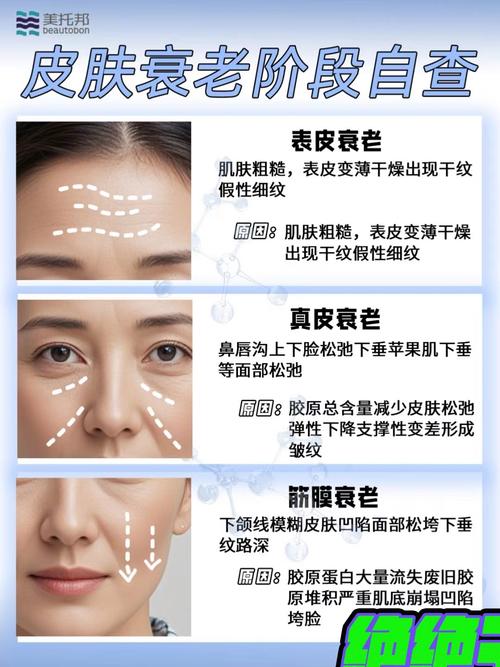 怎么测老了长什么样