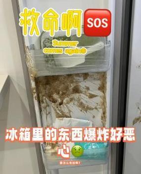 冰箱突然不冷冻了