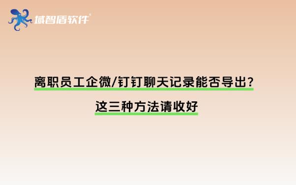 钉钉可以调取员工聊天记录吗