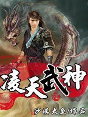 凌天武神缩略图