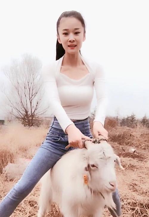 小姐姐骑羊训羊视频大全截图