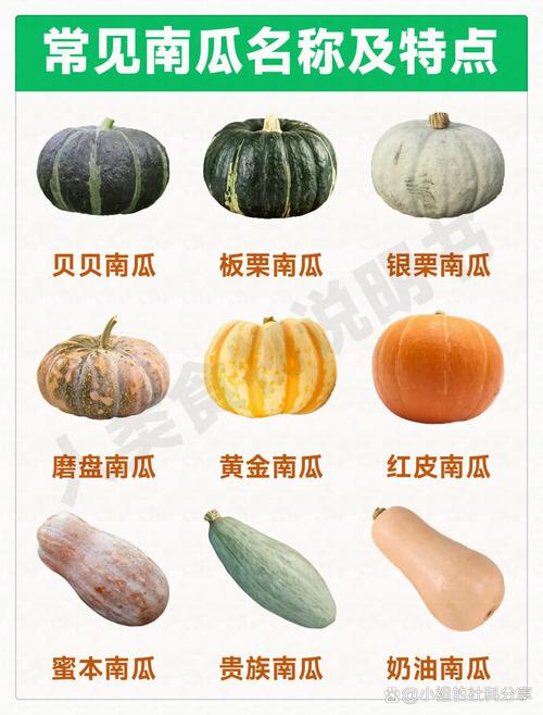 南瓜还有别的名字吗